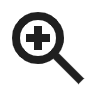 zoom in icon