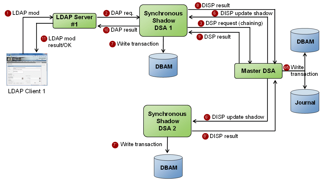 Synchronous Shadowing Protocol Flow