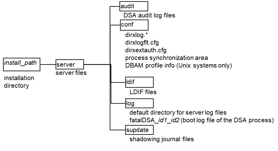 Server Installation Directory