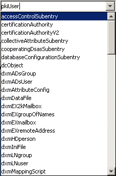 Enter the object class directly in the input field or select it from the drop-down list.