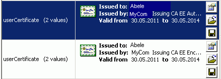 Displays an icon followed by the Issued to