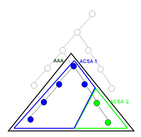 Illustrates an autonomous administrative area (AAA) with two access control specific administrative areas ACSA 1 and 2.