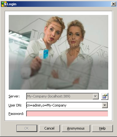 Provides input fields for Server