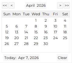 property editor generalized time datepicker