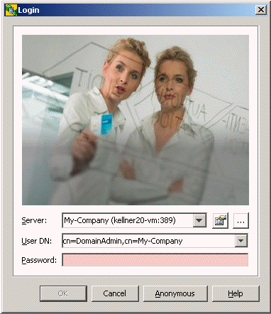 DirX Identity Manager Login Dialog