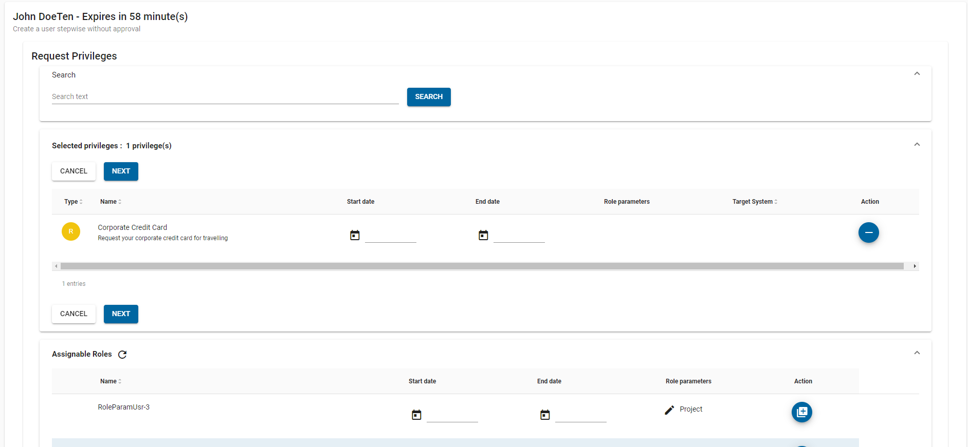 Create User – Request Privileges Activity