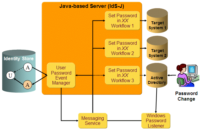 DirX Identity Windows Password Listener Component Operation