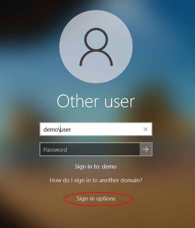 Windows Sign-in options