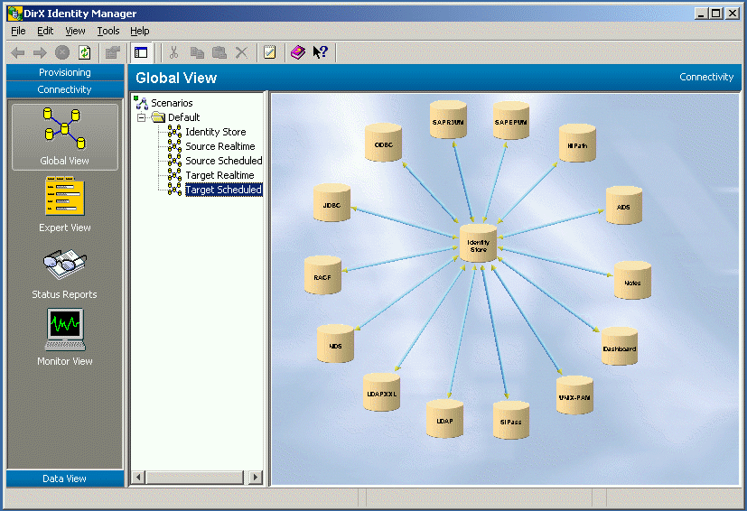 DirX Identity Manager Global View