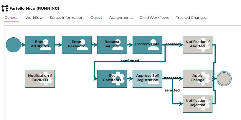 Customer Self Registration Workflow for Nico Farfello