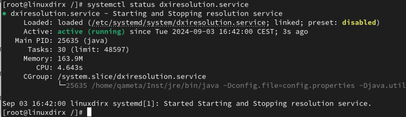 DirX Identity Resolution Service running as a Linux Daemon