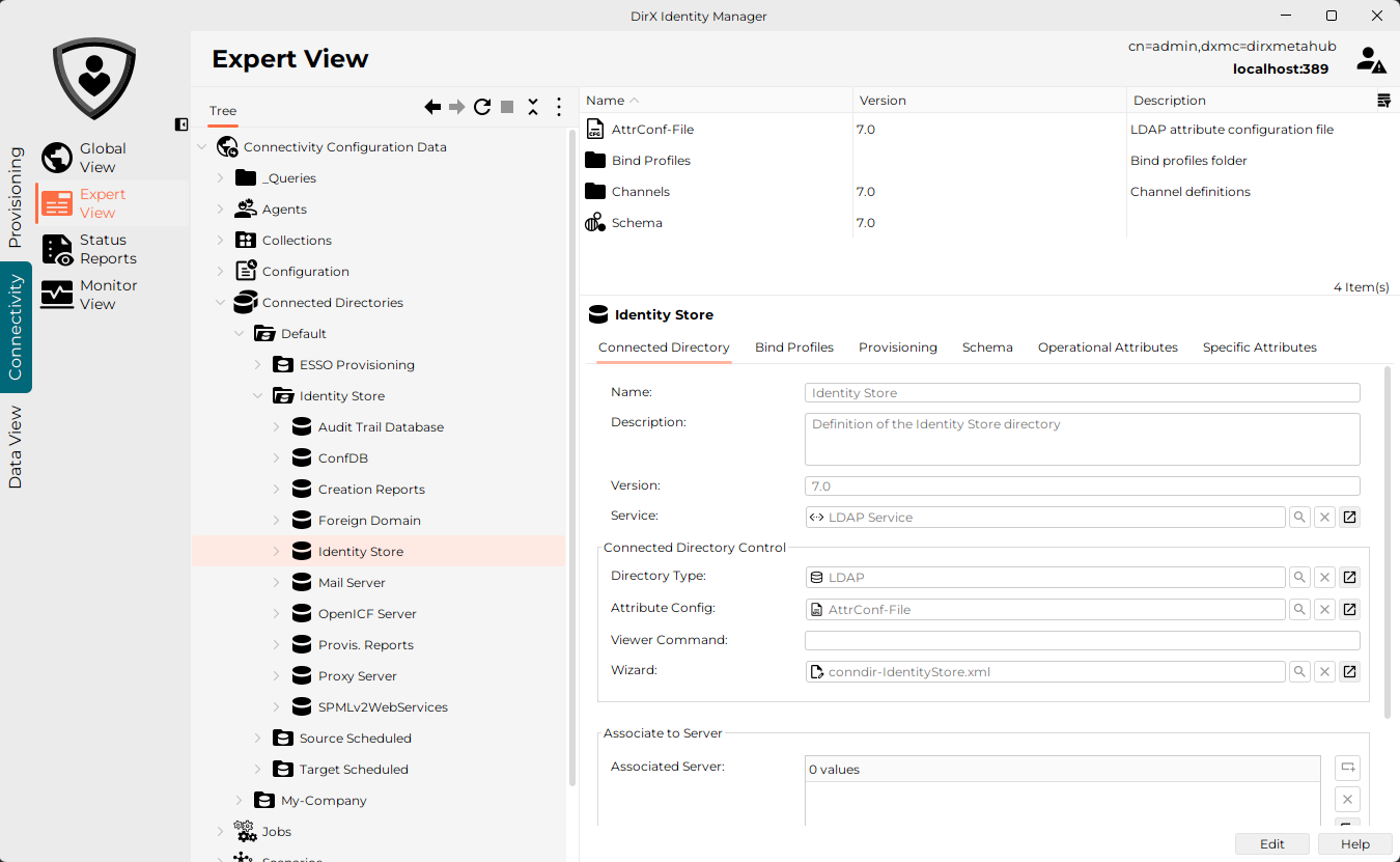 DirX Identity Manager Expert View