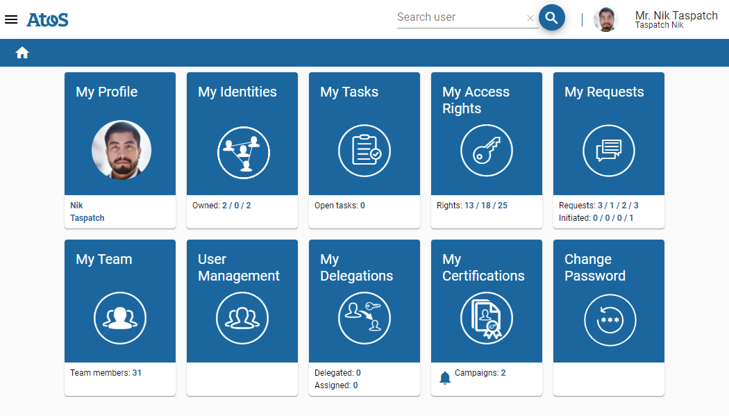 Business User Interface Home Page